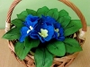 dscf5177