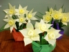 dscf5444