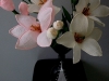 dscf5704